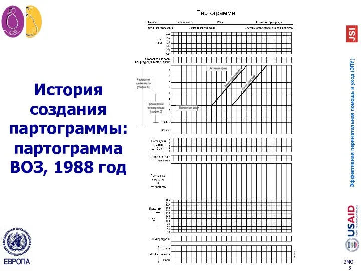 История создания партограммы: партограмма ВОЗ, 1988 год