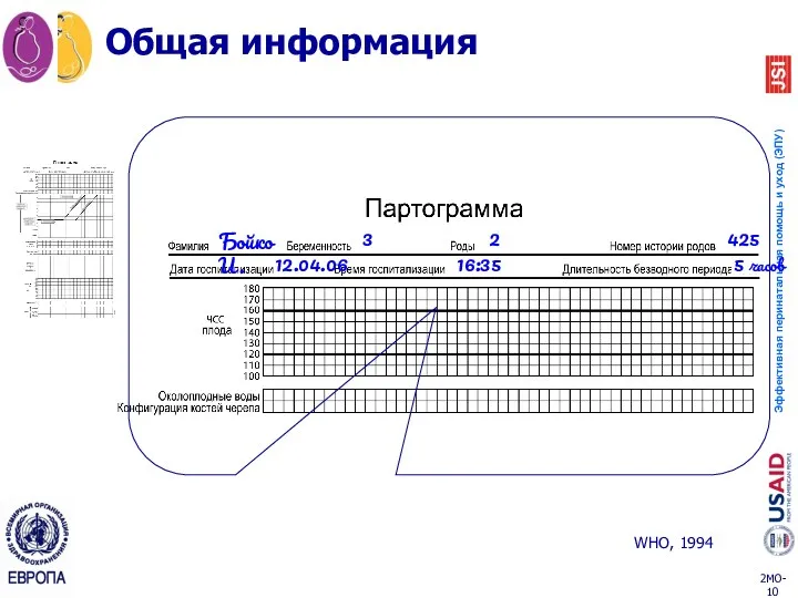 Общая информация WHO, 1994