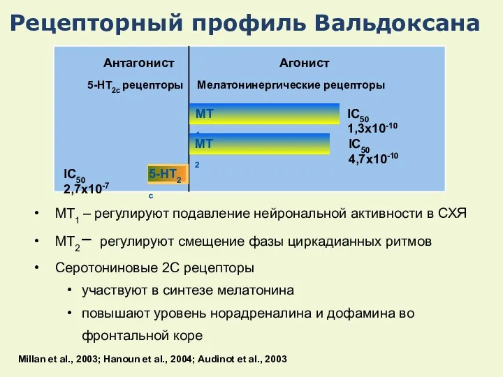 Рецепторный профиль Вальдоксана МТ1 – регулируют подавление нейрональной активности в