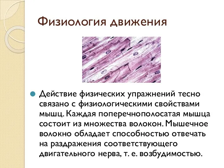 Физиология движения Действие физических упражнений тесно связано с физиологическими свойствами