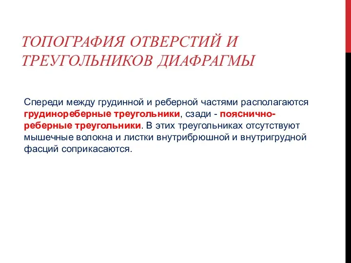 ТОПОГРАФИЯ ОТВЕРСТИЙ И ТРЕУГОЛЬНИКОВ ДИАФРАГМЫ Спереди между грудинной и реберной