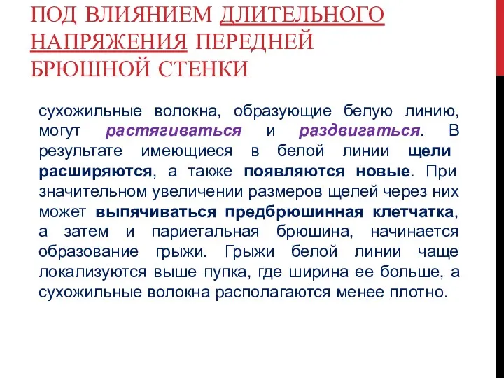 ПОД ВЛИЯНИЕМ ДЛИТЕЛЬНОГО НАПРЯЖЕНИЯ ПЕРЕДНЕЙ БРЮШНОЙ СТЕНКИ сухожильные волокна, образующие