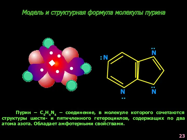 Модель и структурная формула молекулы пурина N N N N : : :
