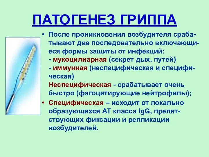 ПАТОГЕНЕЗ ГРИППА После проникновения возбудителя сраба-тывают две последовательно включающи-еся формы