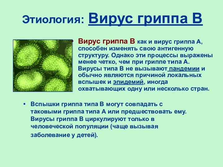 Этиология: Вирус гриппа В Вирус гриппа В как и вирус