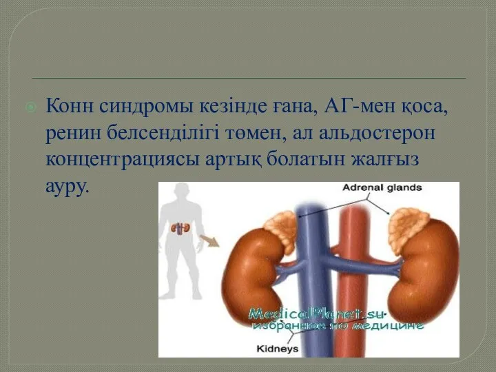 Конн синдромы кезінде ғана, АГ-мен қоса, ренин белсенділігі төмен, ал альдостерон концентрациясы артық болатын жалғыз ауру.