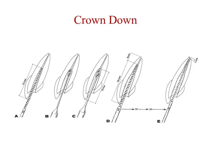 Crown Down