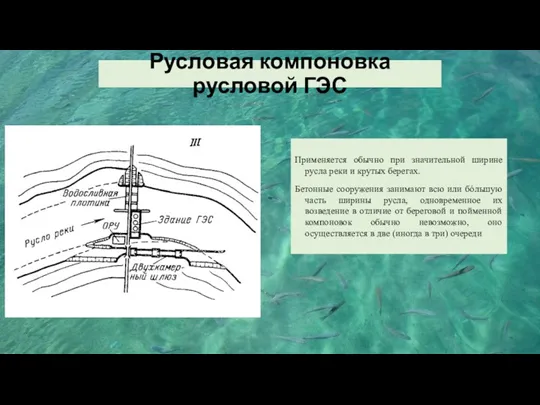 Русловая компоновка русловой ГЭС Применяется обычно при значительной ширине русла