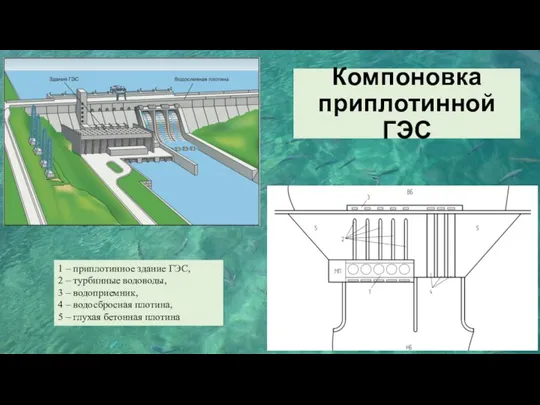 Компоновка приплотинной ГЭС 1 – приплотинное здание ГЭС, 2 –