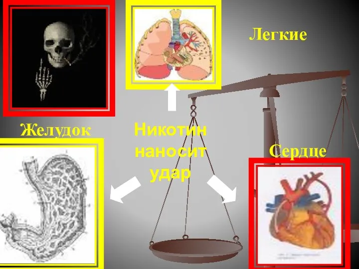 Никотин наносит удар Легкие Желудок Сердце