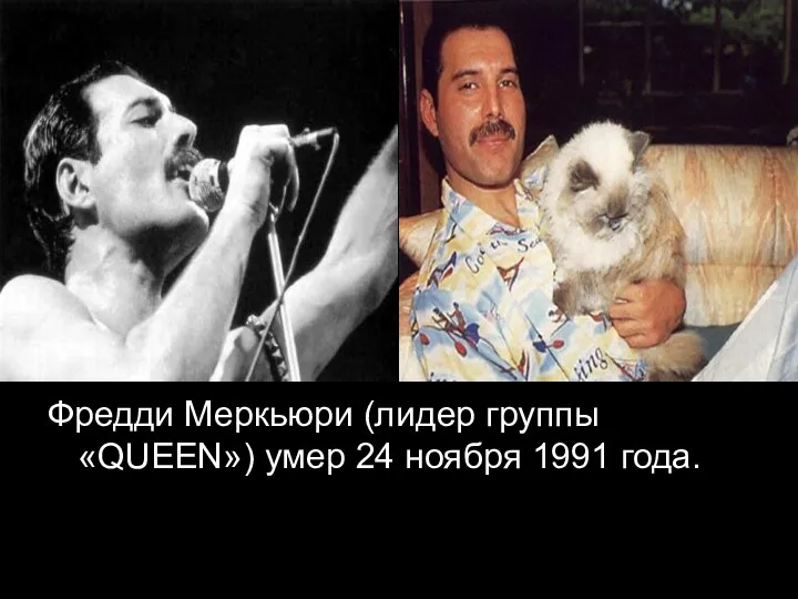 Фредди Меркьюри (лидер группы «QUEEN») умер 24 ноября 1991 года.