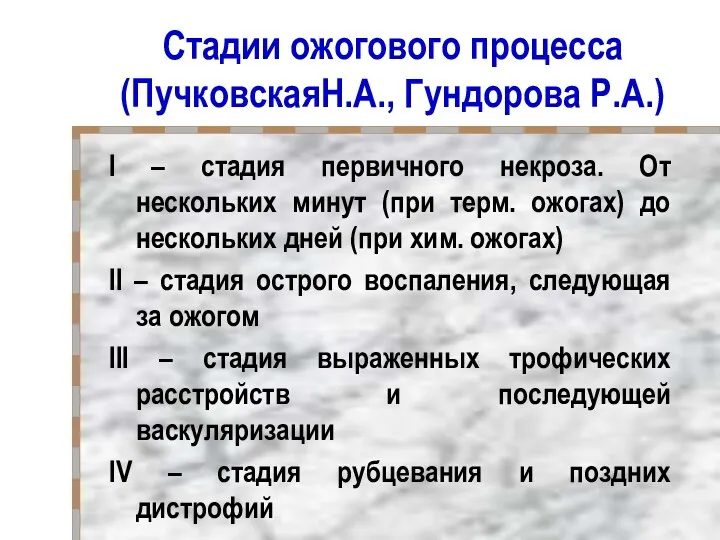 Cтадии ожогового процесса (ПучковскаяН.А., Гундорова Р.А.) I – стадия первичного