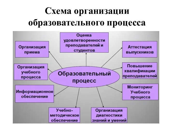 Схема организации образовательного процесса