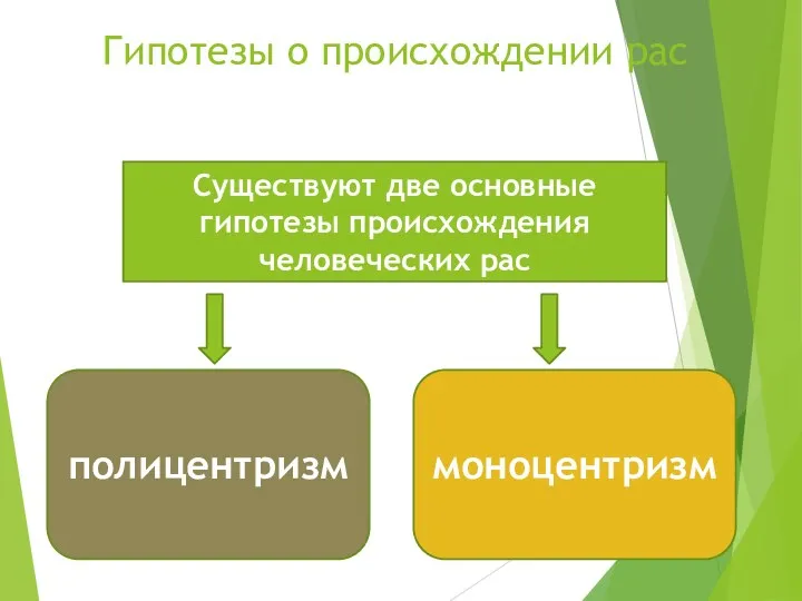 Гипотезы о происхождении рас полицентризм моноцентризм Существуют две основные гипотезы происхождения человеческих рас