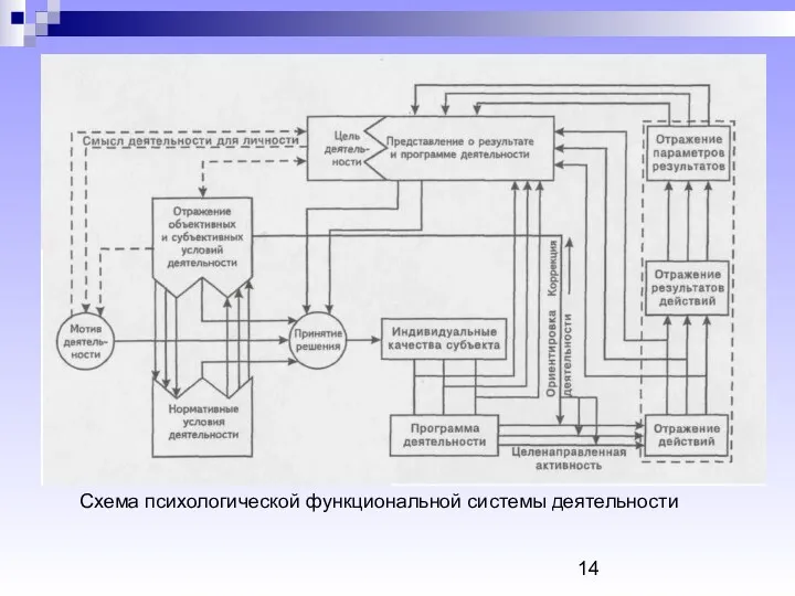 Схема психологической функциональной системы деятельности Схема психологической функциональной системы деятельности