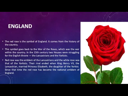ENGLAND The red rose is the symbol of England. It