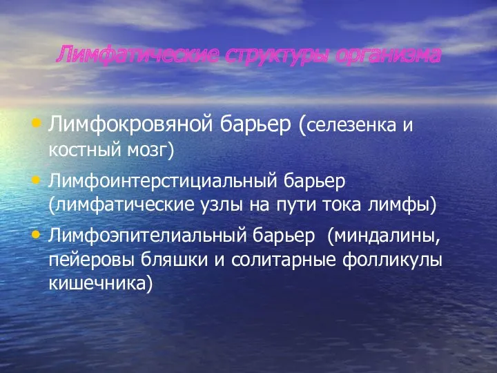 Лимфатические структуры организма Лимфокровяной барьер (селезенка и костный мозг) Лимфоинтерстициальный