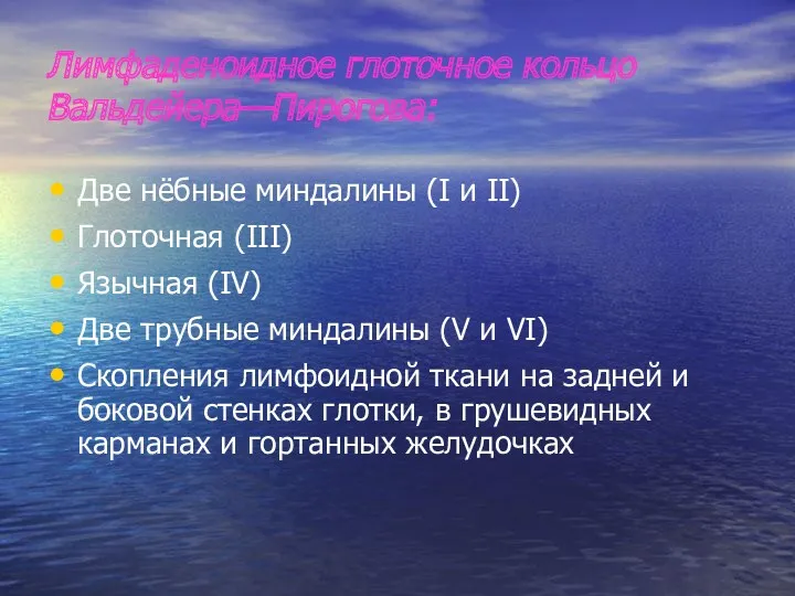 Лимфаденоидное глоточное кольцо Вальдейера—Пирогова: Две нёбные миндалины (I и II)