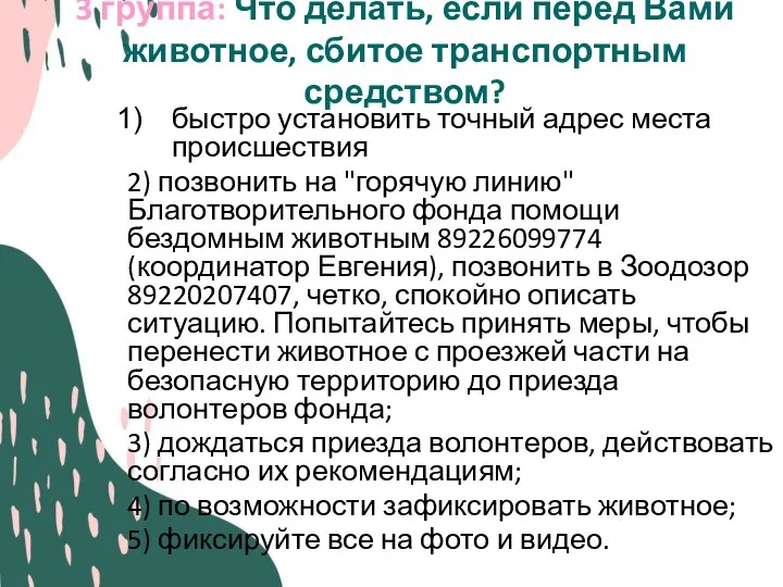 3 группа: Что делать, если перед Вами животное, сбитое транспортным