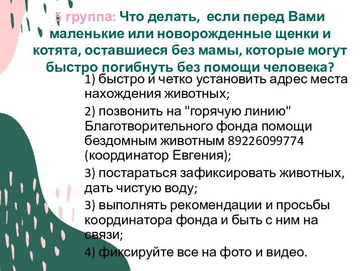 5 группа: Что делать, если перед Вами маленькие или новорожденные