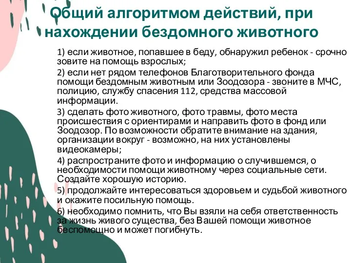 Общий алгоритмом действий, при нахождении бездомного животного 1) если животное,