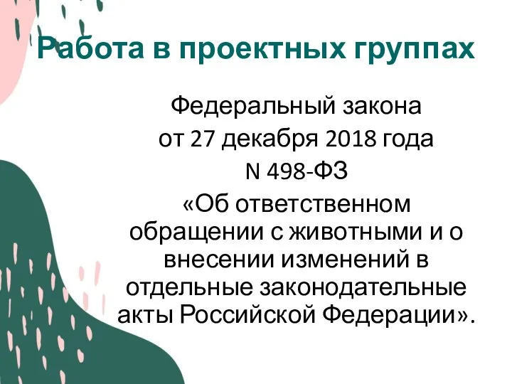 Работа в проектных группах Федеральный закона от 27 декабря 2018