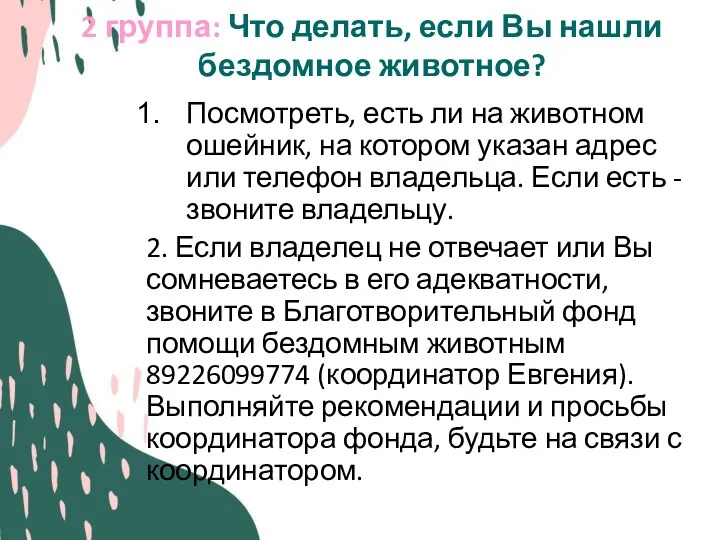 2 группа: Что делать, если Вы нашли бездомное животное? Посмотреть,