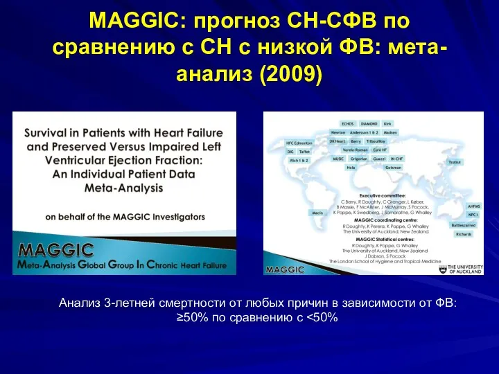 MAGGIC: прогноз СН-СФВ по сравнению с СН с низкой ФВ: мета-анализ (2009) Анализ