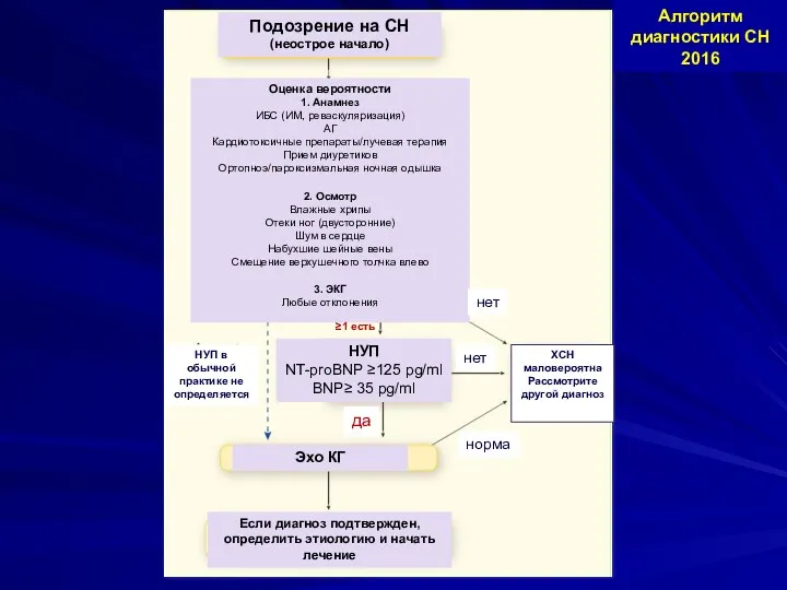 Подозрение на СН (неострое начало) Оценка вероятности 1. Анамнез ИБС (ИМ, реваскуляризация) АГ