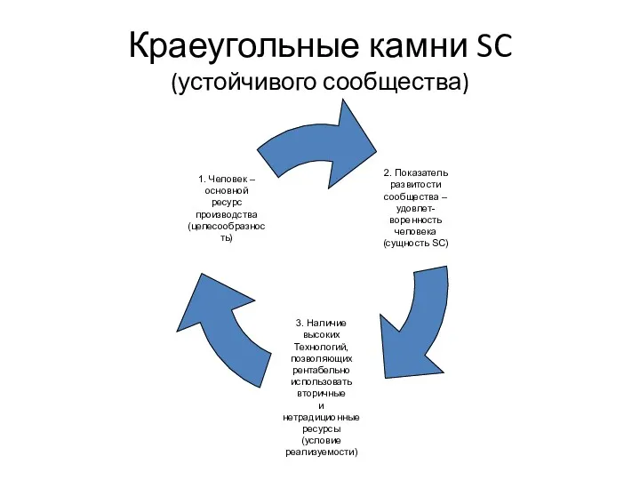 Краеугольные камни SC (устойчивого сообщества)