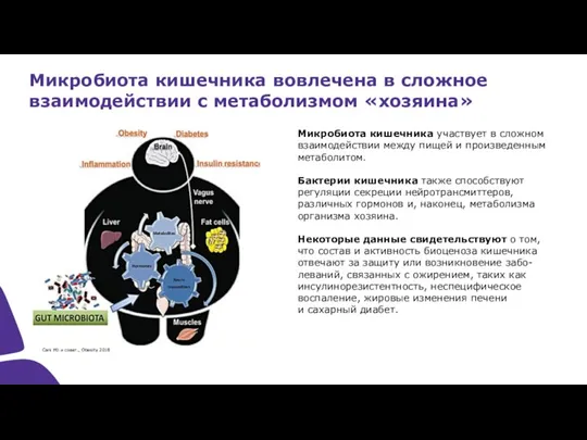 Микробиота кишечника участвует в сложном взаимодействии между пищей и произведенным