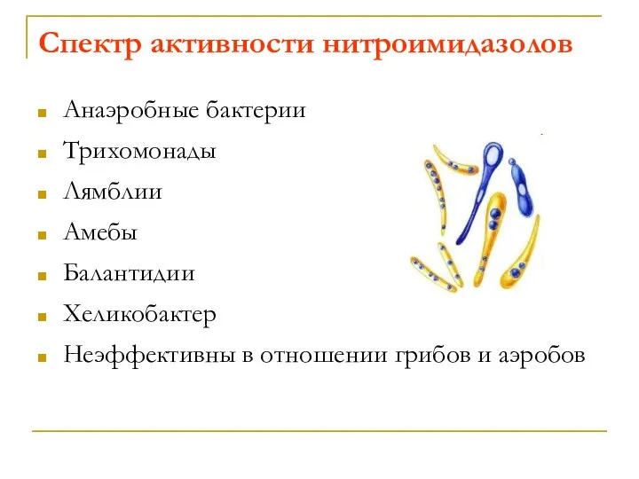 Спектр активности нитроимидазолов Анаэробные бактерии Трихомонады Лямблии Амебы Балантидии Хеликобактер Неэффективны в отношении грибов и аэробов