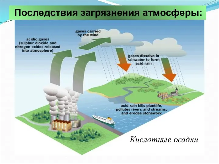 Последствия загрязнения атмосферы: Кислотные осадки