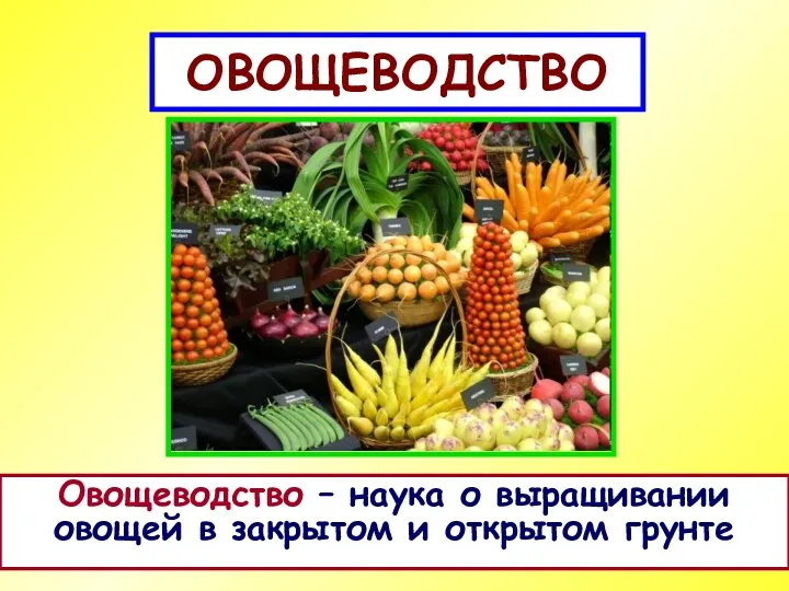 ОВОЩЕВОДСТВО Овощеводство – наука о выращивании овощей в закрытом и открытом грунте