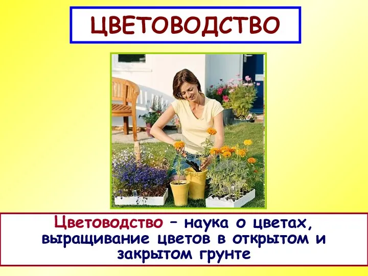 ЦВЕТОВОДСТВО Цветоводство – наука о цветах, выращивание цветов в открытом и закрытом грунте