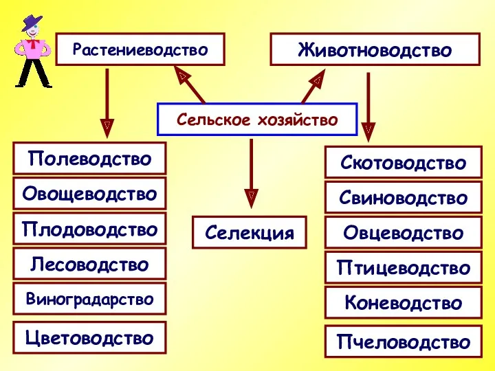 Сельское хозяйство Полеводство Растениеводство Животноводство Овощеводство Плодоводство Лесоводство Виноградарство Цветоводство