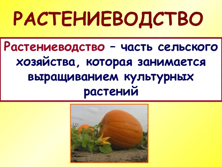 РАСТЕНИЕВОДСТВО Растениеводство – часть сельского хозяйства, которая занимается выращиванием культурных растений