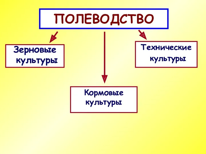 ПОЛЕВОДСТВО Зерновые культуры Технические культуры Кормовые культуры