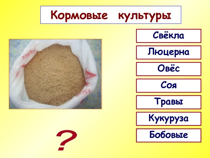 Кормовые культуры Свёкла ? Люцерна Овёс Соя Травы Кукуруза Бобовые