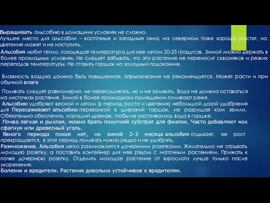 Выращивать альсобию в домашних условиях не сложно. Лучшее место для