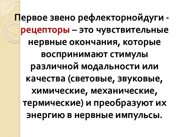 Первое звено рефлекторнойдуги - рецепторы – это чувствительные нервные окончания,