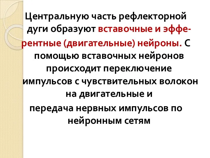 Центральную часть рефлекторной дуги образуют вставочные и эффе- рентные (двигательные)