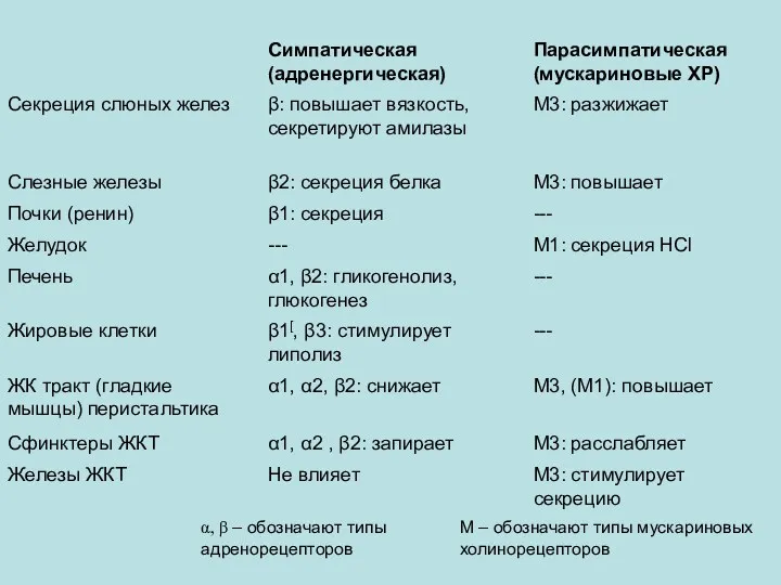 α, β – обозначают типы адренорецепторов М – обозначают типы мускариновых холинорецепторов