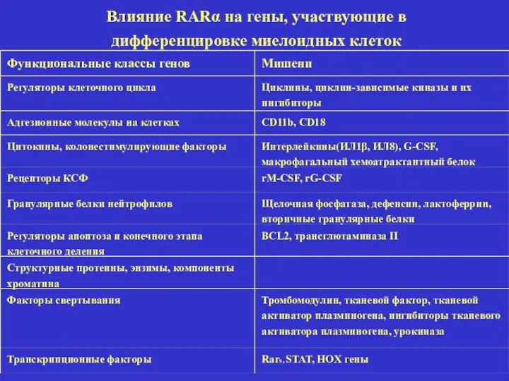 Влияние RARα на гены, участвующие в дифференцировке миелоидных клеток Функциональные