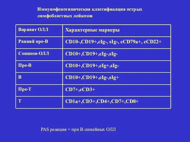 Вариант ОЛЛ Характерные маркеры Ранний пре-В CD10-,CD19+,cIg-, sIg-, cCD79a+, cCD22+