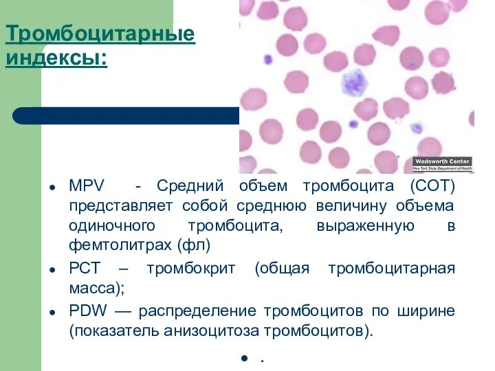 Тромбоцитарные индексы: MPV - Средний объем тромбоцита (СОТ) представляет собой среднюю величину объема