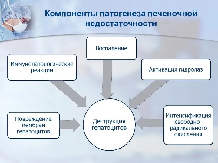 Компоненты патогенеза печеночной недостаточности