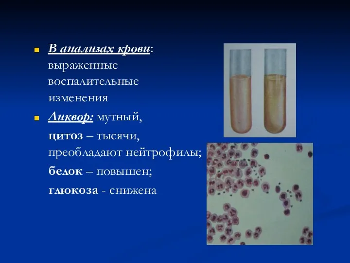 В анализах крови: выраженные воспалительные изменения Ликвор: мутный, цитоз –