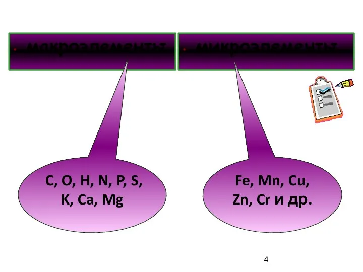 макроэлементы микроэлементы Fe, Mn, Cu, Zn, Cr и др. C,