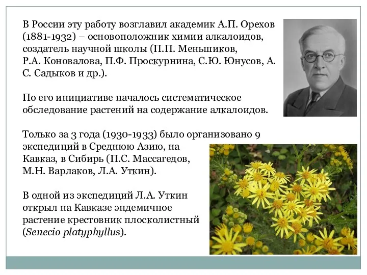 В России эту работу возглавил академик А.П. Орехов (1881-1932) –